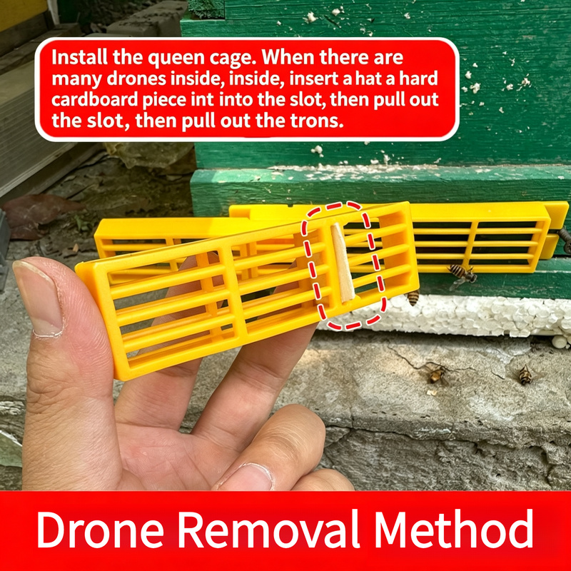 10 قطع من إطارات الهروب متعددة - مراجعة Drone Multispectral وسعره